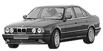 BMW E34 P042D Fault Code